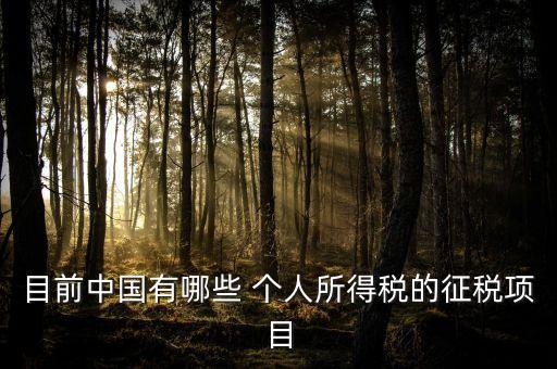 目前中國有哪些 個(gè)人所得稅的征稅項(xiàng)目