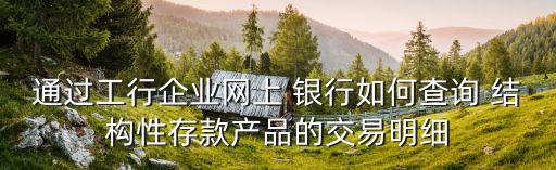 通過工行企業(yè)網上 銀行如何查詢 結構性存款產品的交易明細