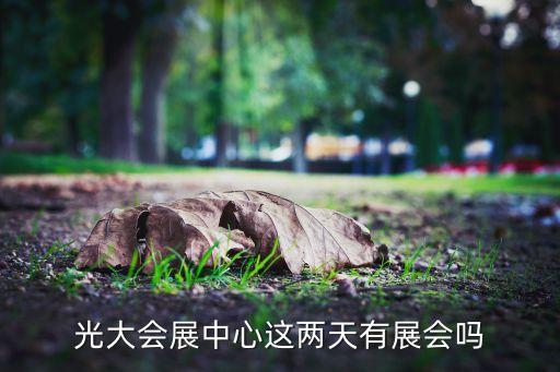 中國上海國際婚紗攝影器材展覽會,上?；榧啍z影器材展2023時間