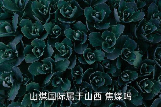 山煤國(guó)際屬于山西 焦煤?jiǎn)? class=
