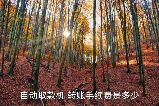 自動取款機(jī) 轉(zhuǎn)賬手續(xù)費是多少