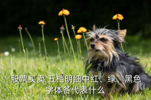  股票買賣 五檔明細(xì)中紅、綠、黑色字體各代表什么