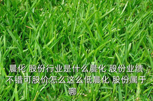 星辰化工新材料股份有限公司,青海化工新材料(集團)股份有限公司