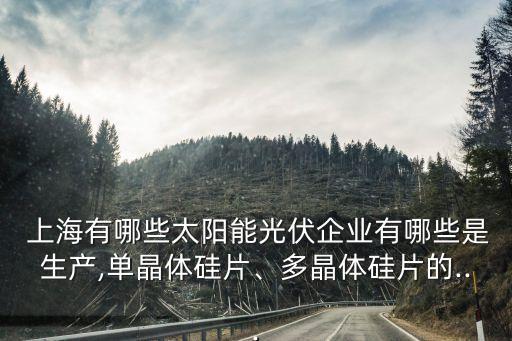  上海有哪些太陽能光伏企業(yè)有哪些是生產(chǎn),單晶體硅片、多晶體硅片的...