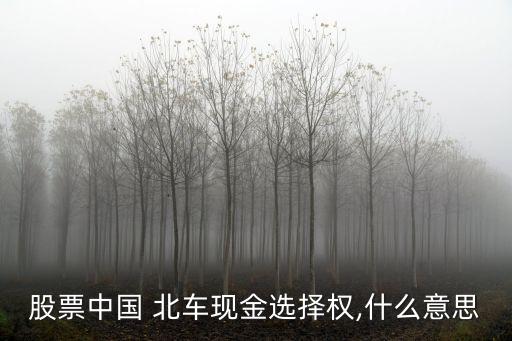 股票中國(guó) 北車(chē)現(xiàn)金選擇權(quán),什么意思