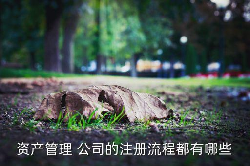 資產管理 公司的注冊流程都有哪些