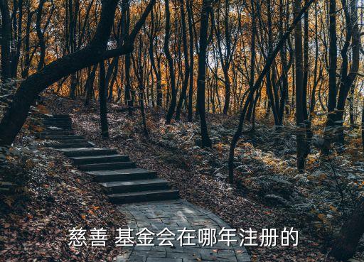  慈善 基金會(huì)在哪年注冊的