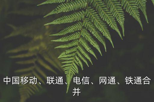 中國移動、聯(lián)通、電信、網(wǎng)通、鐵通合并