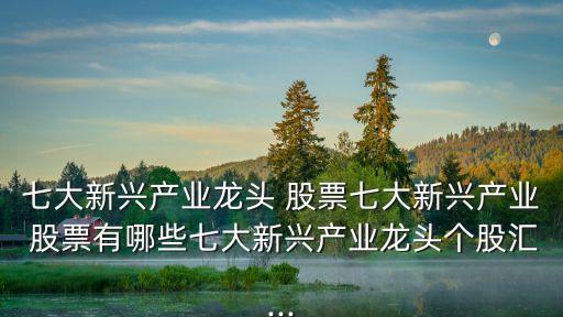 七大新興產業(yè)龍頭 股票七大新興產業(yè) 股票有哪些七大新興產業(yè)龍頭個股匯...
