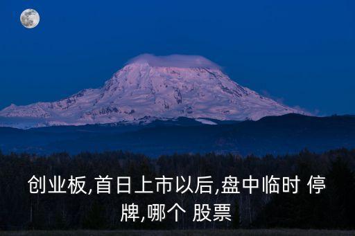 創(chuàng)業(yè)板,首日上市以后,盤(pán)中臨時(shí) 停牌,哪個(gè) 股票