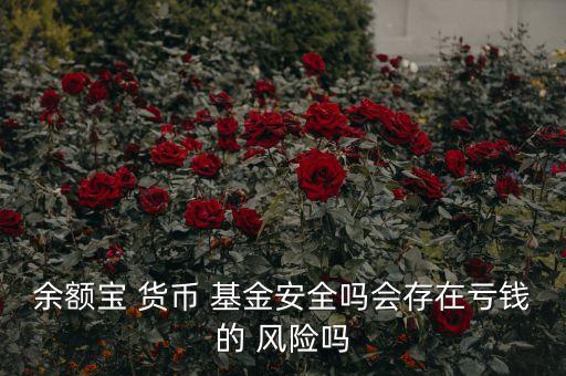 貨幣基金有風(fēng)險么