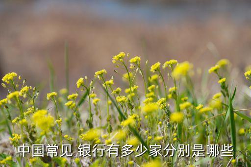 中國(guó)常見(jiàn) 銀行有多少家分別是哪些