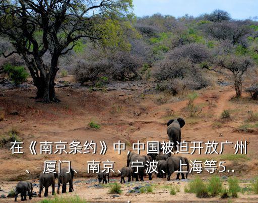 在《南京條約》中,中國被迫開放廣州、 廈門、南京、寧波、上海等5...