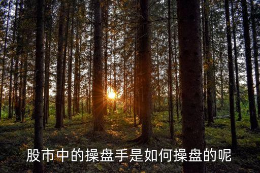 股票每日早餐,每日早餐小知識(shí)