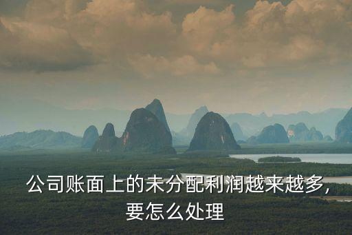  公司賬面上的未分配利潤(rùn)越來(lái)越多,要怎么處理