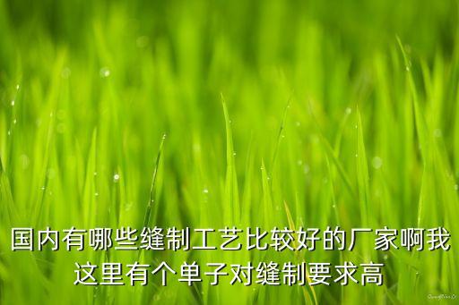 國內(nèi)有哪些縫制工藝比較好的廠家啊我這里有個(gè)單子對縫制要求高