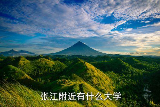  張江附近有什么大學