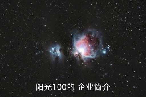 中國藍籌地產企業(yè)