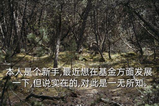 本人是個新手,最近想在基金方面發(fā)展一下,但說實(shí)在的,對此是一無所知...