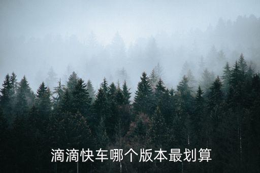  滴滴快車(chē)哪個(gè)版本最劃算