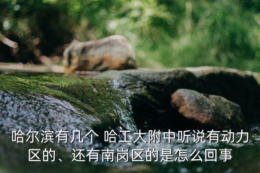 哈爾濱有幾個(gè) 哈工大附中聽說有動(dòng)力區(qū)的、還有南崗區(qū)的是怎么回事