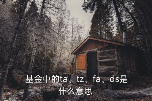  基金中的ta、tz、fa、ds是什么意思