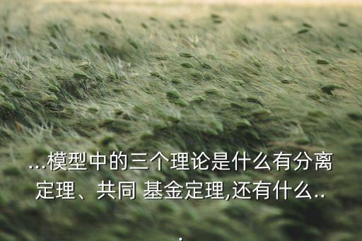 ...模型中的三個(gè)理論是什么有分離定理、共同 基金定理,還有什么...