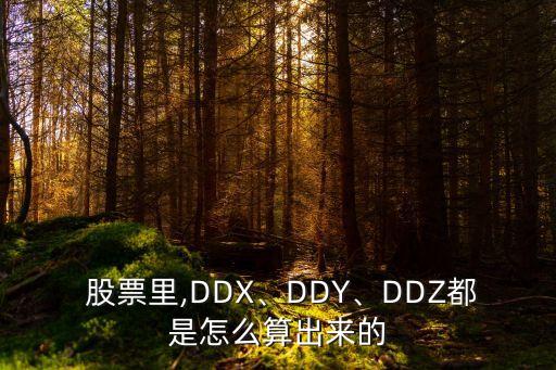  股票里,DDX、DDY、DDZ都是怎么算出來的