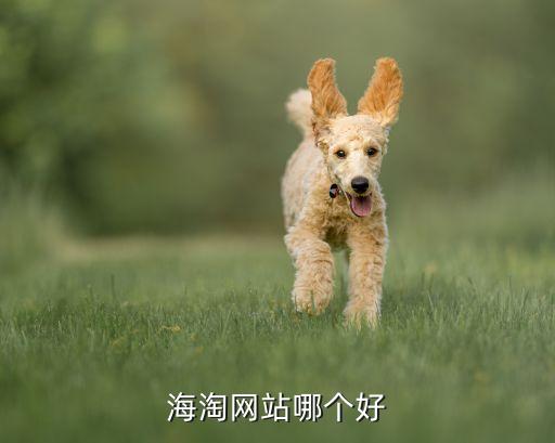 上?？缇畴娚躺鲜泄?跨境電商的上市公司龍頭股