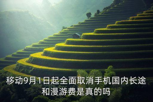 移動9月1日起全面取消手機國內(nèi)長途和漫游費是真的嗎