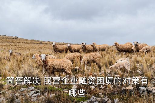 民營借貸公司怎樣開展業(yè)務