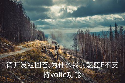 請(qǐng)開發(fā)組回答,為什么我的魅藍(lán)E不支持volte功能