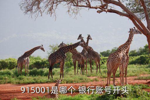 915001是哪個(gè) 銀行賬號(hào)開(kāi)頭