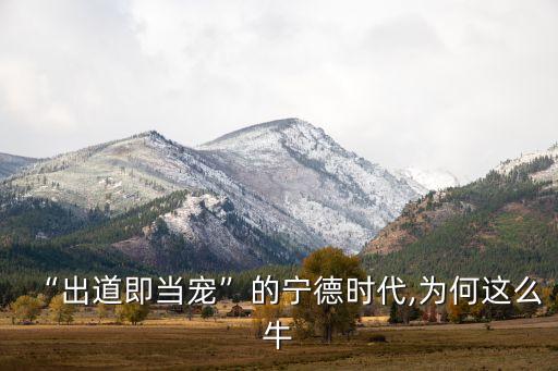 “出道即當(dāng)寵”的寧德時代,為何這么牛