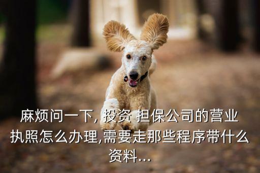 麻煩問一下, 投資 擔(dān)保公司的營(yíng)業(yè)執(zhí)照怎么辦理,需要走那些程序帶什么資料...