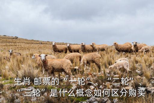  生肖 郵票的“一輪”、“二輪”、“ 三輪”是什么概念如何區(qū)分購買