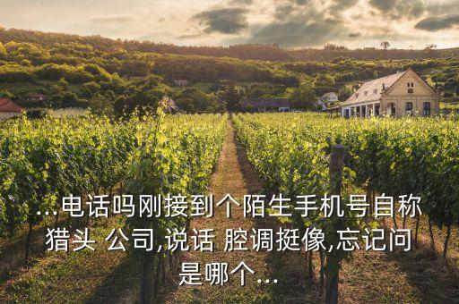 ...電話嗎剛接到個(gè)陌生手機(jī)號(hào)自稱(chēng)獵頭 公司,說(shuō)話 腔調(diào)挺像,忘記問(wèn)是哪個(gè)...