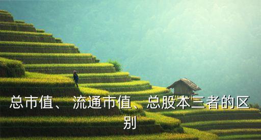 總市值、 流通市值、總股本三者的區(qū)別