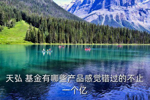 天弘 基金有哪些產(chǎn)品感覺錯過的不止一個億