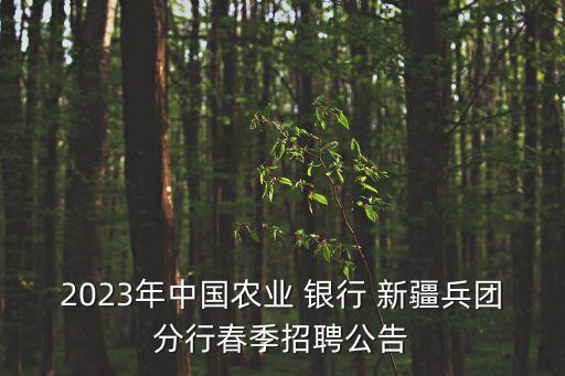2023年中國(guó)農(nóng)業(yè) 銀行 新疆兵團(tuán)分行春季招聘公告