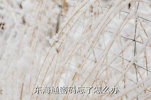 東?；鸸?/></a></span><span id=