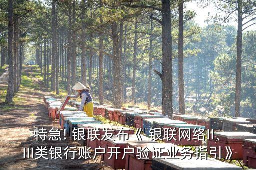 特急! 銀聯(lián)發(fā)布《 銀聯(lián)網(wǎng)絡(luò)II、III類銀行賬戶開戶驗(yàn)證業(yè)務(wù)指引》