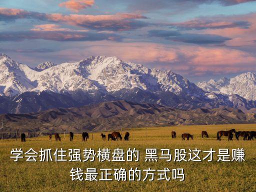 學(xué)會(huì)抓住強(qiáng)勢(shì)橫盤(pán)的 黑馬股這才是賺錢(qián)最正確的方式嗎