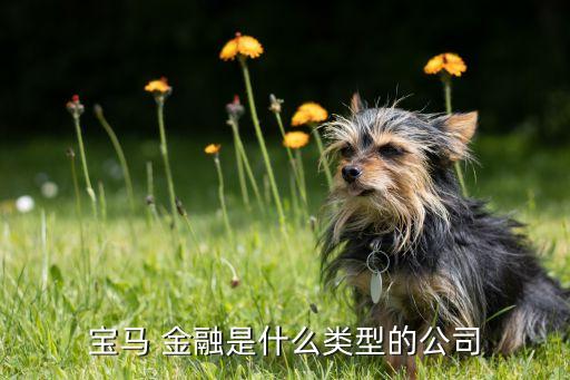 上海創(chuàng)富汽車(chē)金融,上海東正汽車(chē)金融正規(guī)嗎