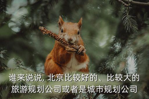 誰來說說, 北京比較好的、比較大的旅游規(guī)劃公司或者是城市規(guī)劃公司