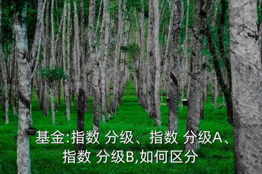  基金:指數(shù) 分級(jí)、指數(shù) 分級(jí)A、指數(shù) 分級(jí)B,如何區(qū)分
