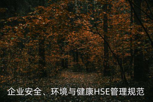 企業(yè)安全、環(huán)境與健康HSE管理規(guī)范