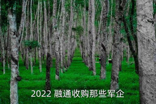 2022 融通收購那些軍企