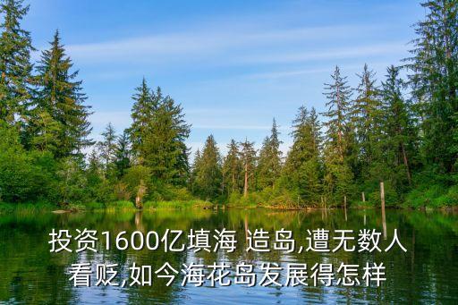 投資1600億填海 造島,遭無數(shù)人看貶,如今?；◢u發(fā)展得怎樣