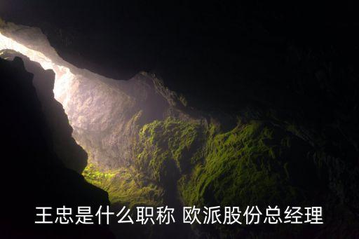 王忠是什么職稱(chēng) 歐派股份總經(jīng)理